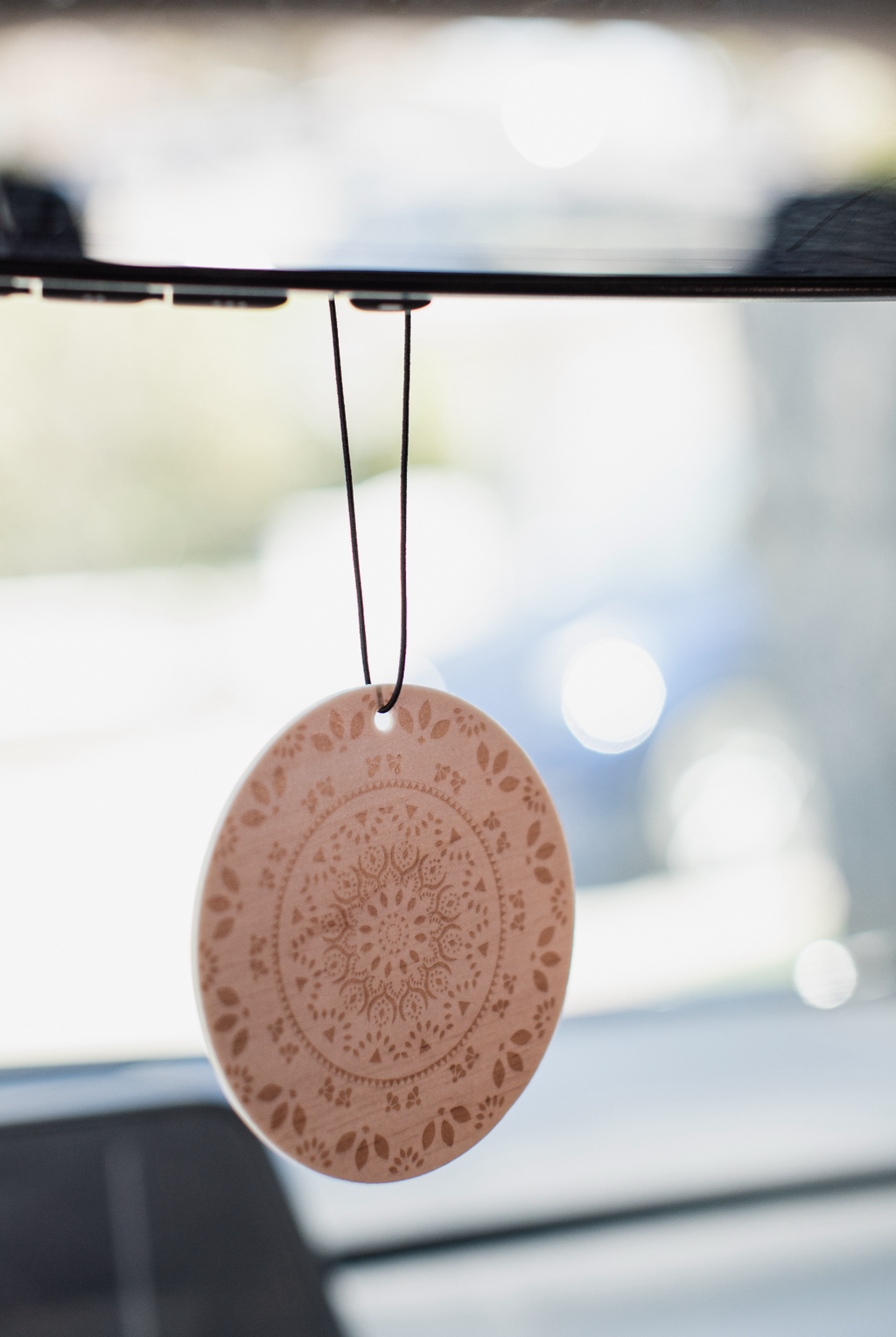 Beautiful Set of 8 Car Air Fresheners