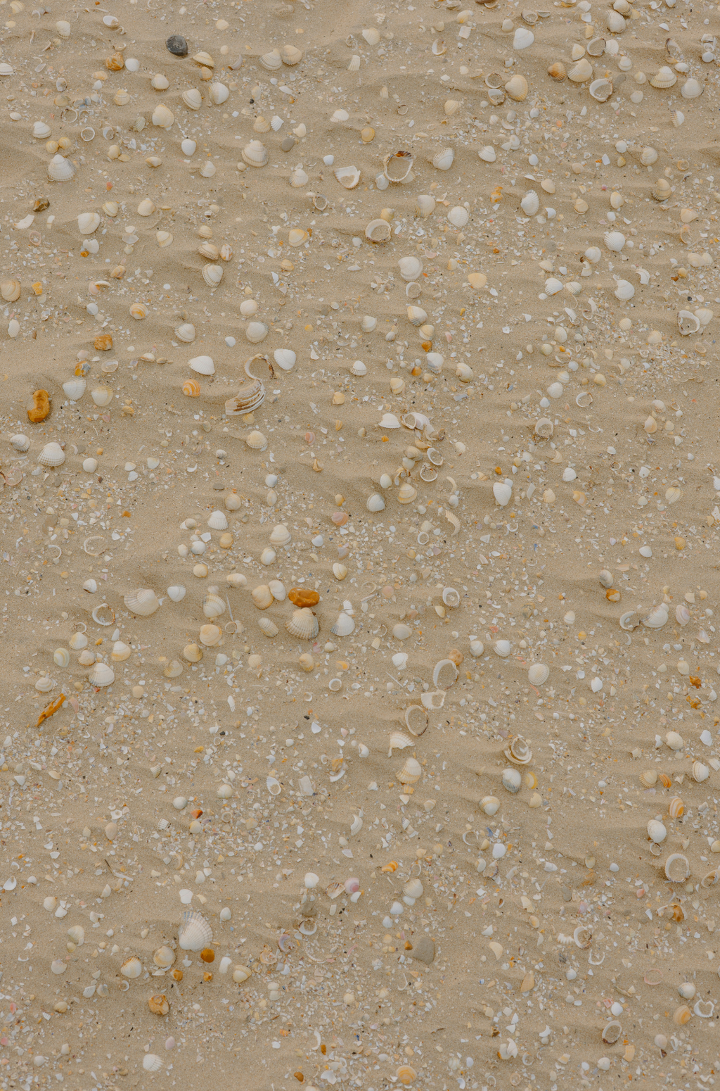 Refreshing Ocean & Sea Salt 100 ml Room Spray